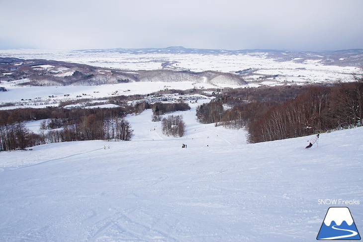 カムイスキーリンクス　-11℃。冬空からの素敵なクリスマスプレゼント♪